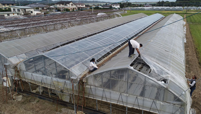 県内 農業ハウス被害多数 台風24号 デジタル夕刊 プレみや 県内 農業ハウス被害多数 台風24号 デジタル夕刊 プレみや