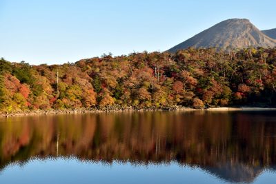 鮮やかに木々色づく えびの高原の紅葉見頃 デジタル夕刊 プレみや