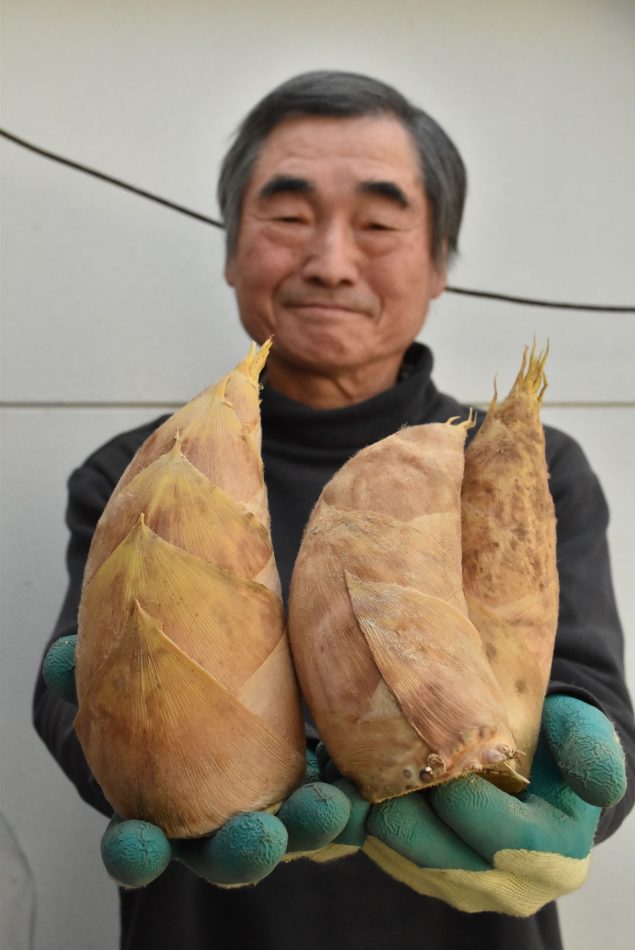 宮崎とれたて 旬 の味 早掘りタケノコ デジタル夕刊 プレみや