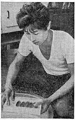 あれから半世紀 養殖ヤマメ初出荷 五ケ瀬の秋本さんが大阪に毎月１万尾 デジタル夕刊 プレみや