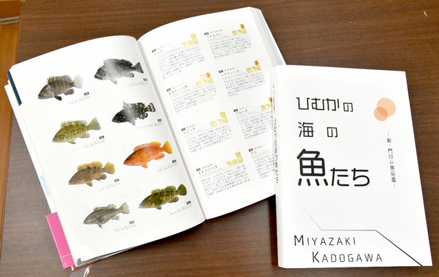 門川湾のお魚ずらり 町と宮崎大が図鑑改訂 デジタル夕刊 プレみや