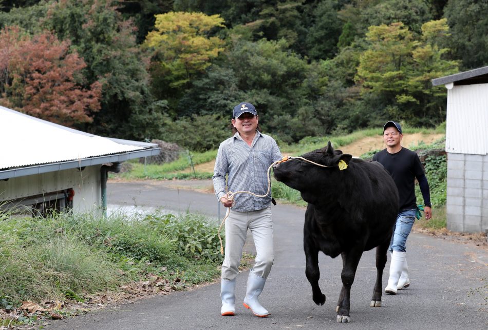 鉱害告発から５０年 土呂久は今 デジタル夕刊 プレみや