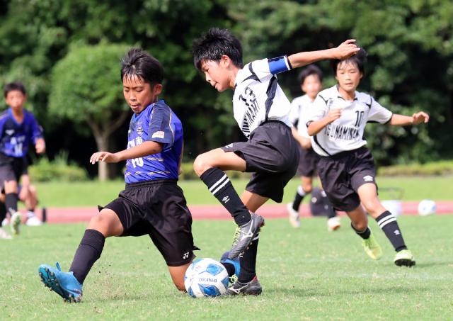 サッカーａ組は妻南ｖ 県スポ少中央大会 デジタル夕刊 プレみや