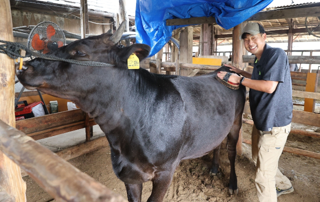 てっぺんへ宮崎牛 第２部 地域の宝 北諸県 デジタル夕刊 プレみや