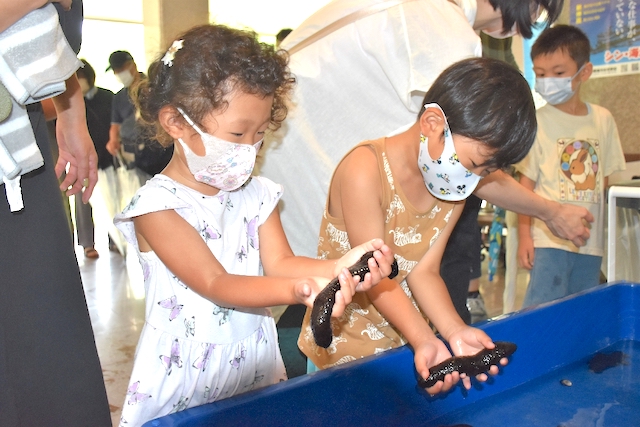 海の生き物との触れ合い楽しむ モンスター水族館展でイベント デジタル夕刊 プレみや